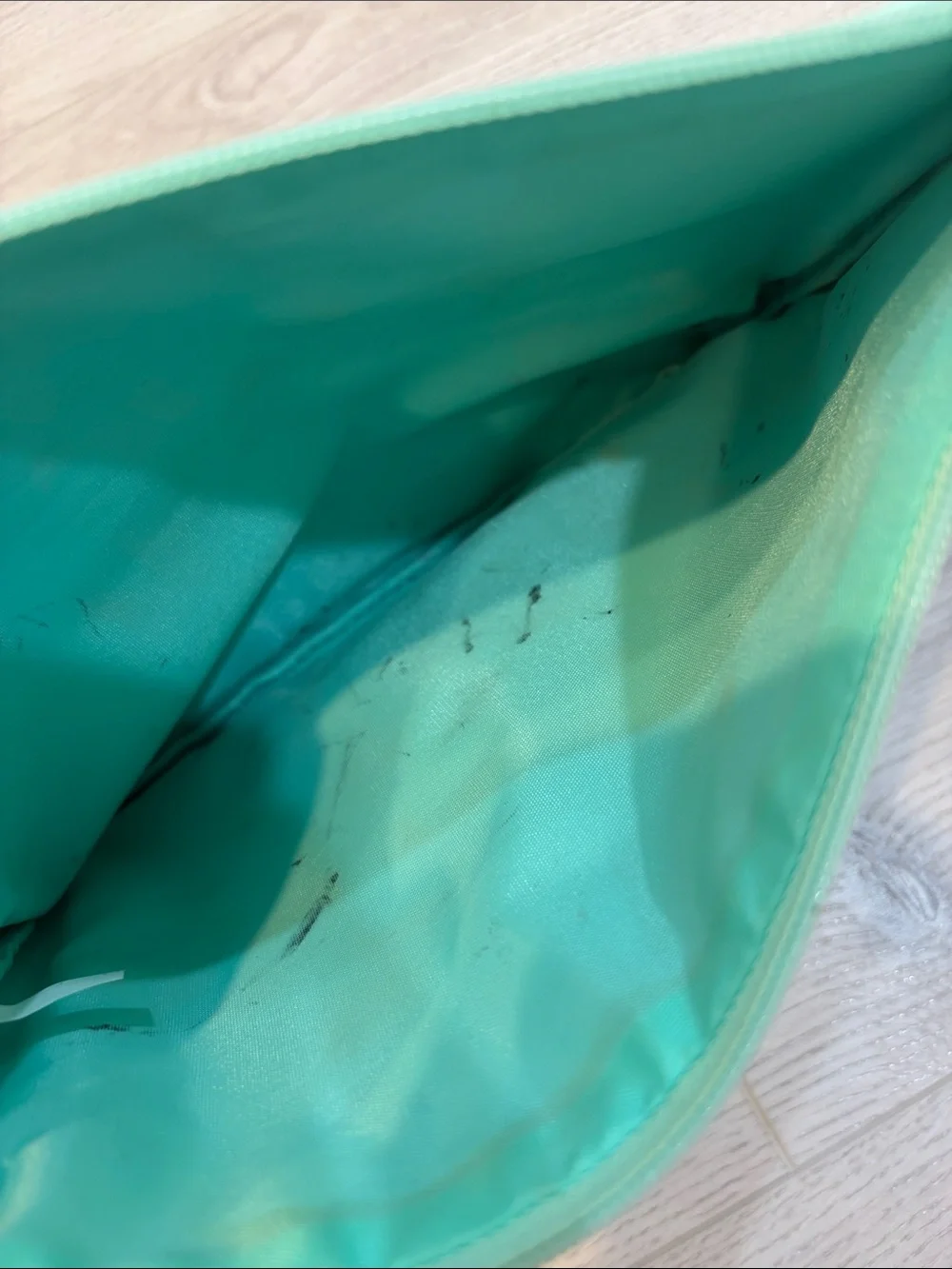 Mint Green Cosmetic Zip Pouch with Gold Accent